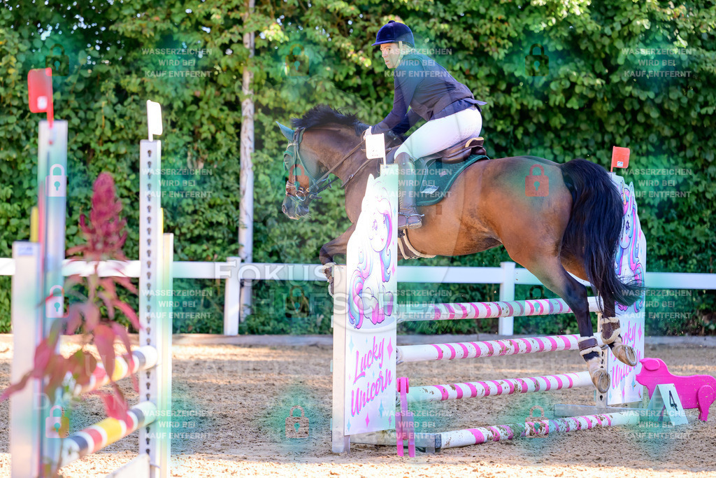 30082026-Giesenbach-Prfg16-0268 | Fokus Hufschlag Fotografie - Realisiert mit Pictrs.com