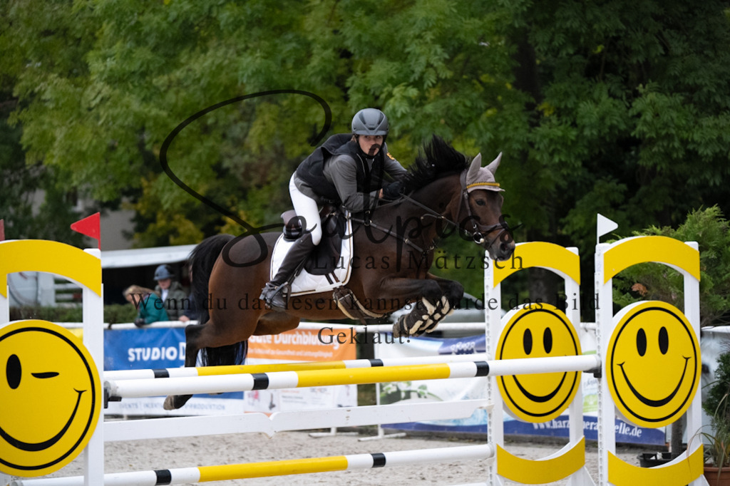 A7V08881 | Pferdefotograf