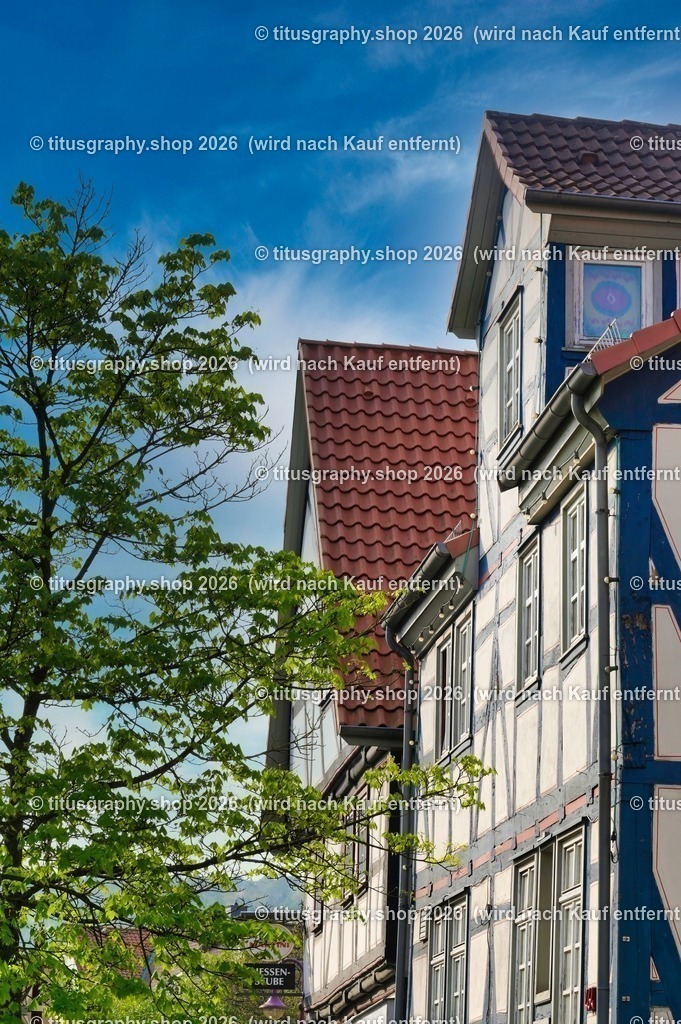 2022-04-29_FT-125_Oberkaufungen_DSC_0452_b-098 (Kopie) | titusgraphy-shop: Geschenkideen mit Qualitätsfotos. titusgraphy-shop: gift ideas with quality photos. titusgraphy-shop: idées cadeaux avec photos de qualité.  - Realisiert mit Pictrs.com