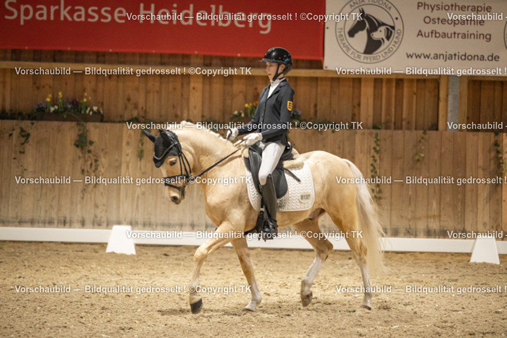 _D5A0200 | Emotionale Pferde- & People-Fotografie rund um Heidelberg, Leimen & Umgebung. Natürliche Fotos von Pferd, Mensch & Familie. Jetzt Termin sichern!