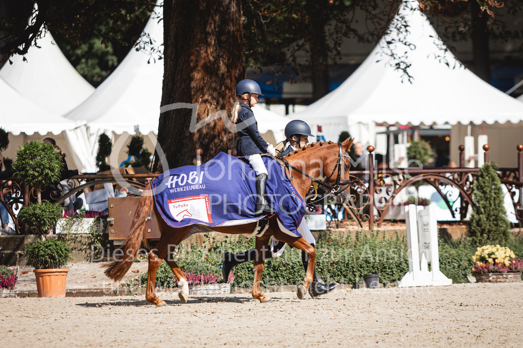 240915_OWLCh_FuehrzuegelWB-704 | Deine schönsten Turniermomente als professionelle Fotos! Entdecke hochwertige Pferdesport-Fotografie im Online-Shop. Jetzt Fotos finden & bestellen!