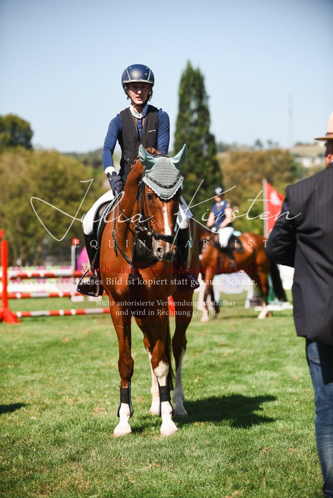 DSC_2936 | Pferde- und Turnierfotografie in Westsachsen. Pferdeportraits, Auftragszeichnungen und intuitive Kunst.