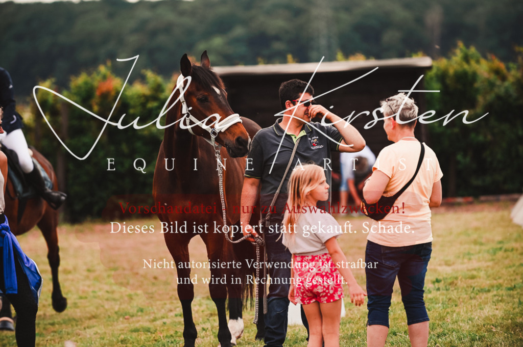 DSC_7027 | Pferde- und Turnierfotografie in Westsachsen. Pferdeportraits, Auftragszeichnungen und intuitive Kunst.
