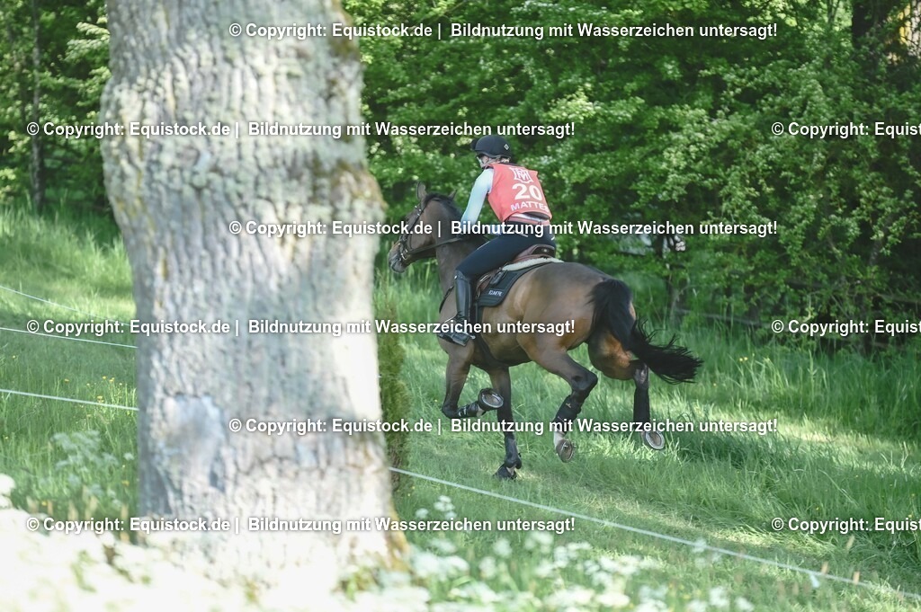 20250517_CCI2_Gelände_0545 | Foto: Thomas Hartig