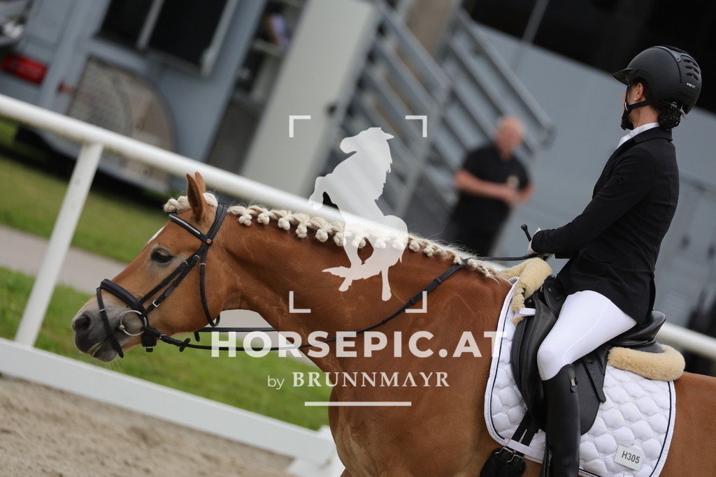 0P6A7117 | Willkommen bei Brunnmayr - Design & Fotografie – Ihrem Spezialisten für Reitturniere und Pferdeveranstaltungen in Oberösterreich, Salzburg und Bayern! Seit über 17 Jahren sind wir leidenschaftlich dabei.