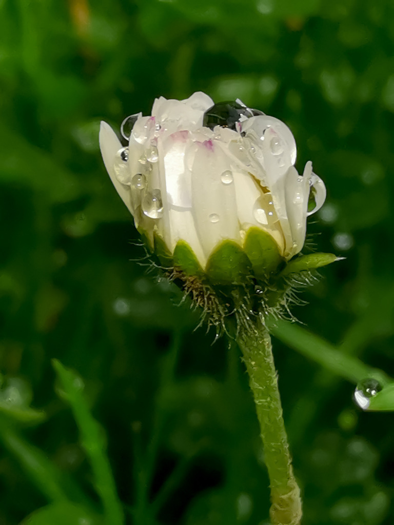 PSX_20230524_232402 | mtkfoto_ - Realisiert mit Pictrs.com