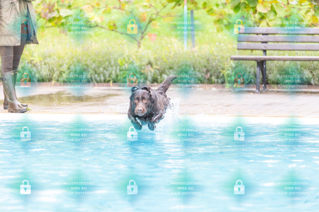 _HP_7291_1000o | HetPix, HetPix Fotodesign, Fotografie, Fotodesign, Webshop, Sportfotografie, Portraitfotografie, Onlineshop, Sportfotografie, Polch, Motorsportfotografie, Eventfotografie