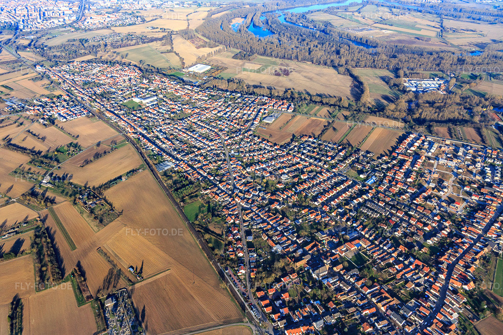 Luftbild: Ortsansicht von Südwesten im Ortsteil Berghausen in Römerberg im Bundesland Rheinland-Pfalz in Deutschland. Foto: IMG_097351.jpg vom 10.03.2017 durch Werner Riehm/FLY-FOTO.de