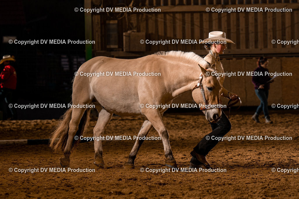 BAL01150 | dv-media-shop - Realisiert mit Pictrs.com