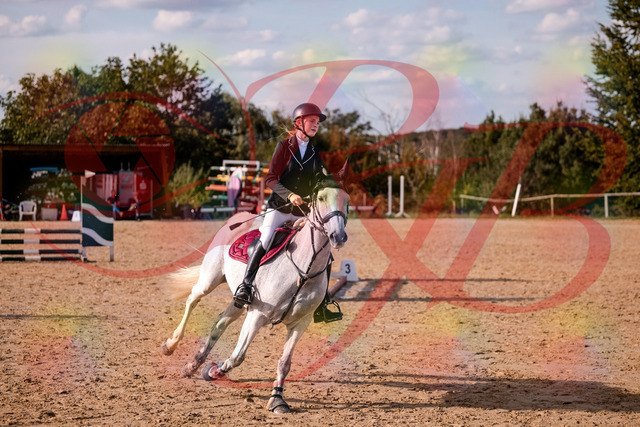 2026_10_03_Siefer-Hof_155139_Z81_70771143 | Professionelle Reitsport-, Turnier- und Eventfotografie von Robert Broda. Galerien mit ausgewählten und bearbeiteten Bildern direkt online ansehen und bestellen.