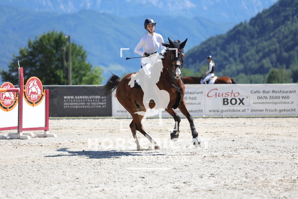 0P6A3260 | Willkommen bei Brunnmayr - Design & Fotografie – Ihrem Spezialisten für Reitturniere und Pferdeveranstaltungen in Oberösterreich, Salzburg und Bayern! Seit über 17 Jahren sind wir leidenschaftlich dabei.