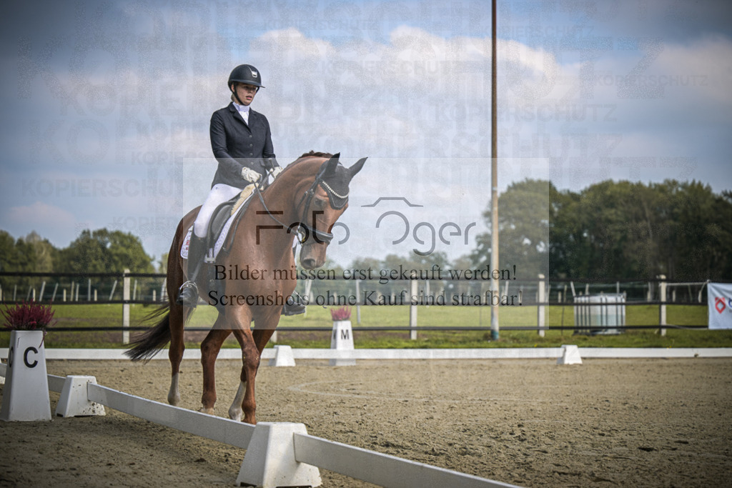DOS_B655 | Entdecke hochwertige Reitturnierfotos von Foto Oger. Professionell, emotional und authentisch – jetzt Lieblingsmomente im Shop bestellen.Deutschlandweite Turnierfotografie. - Realisiert mit Pictrs.com