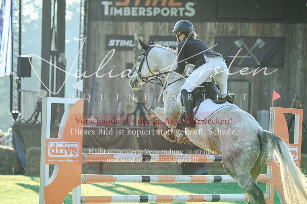 DSC_4249 | Pferde- und Turnierfotografie in Westsachsen. Pferdeportraits, Auftragszeichnungen und intuitive Kunst.