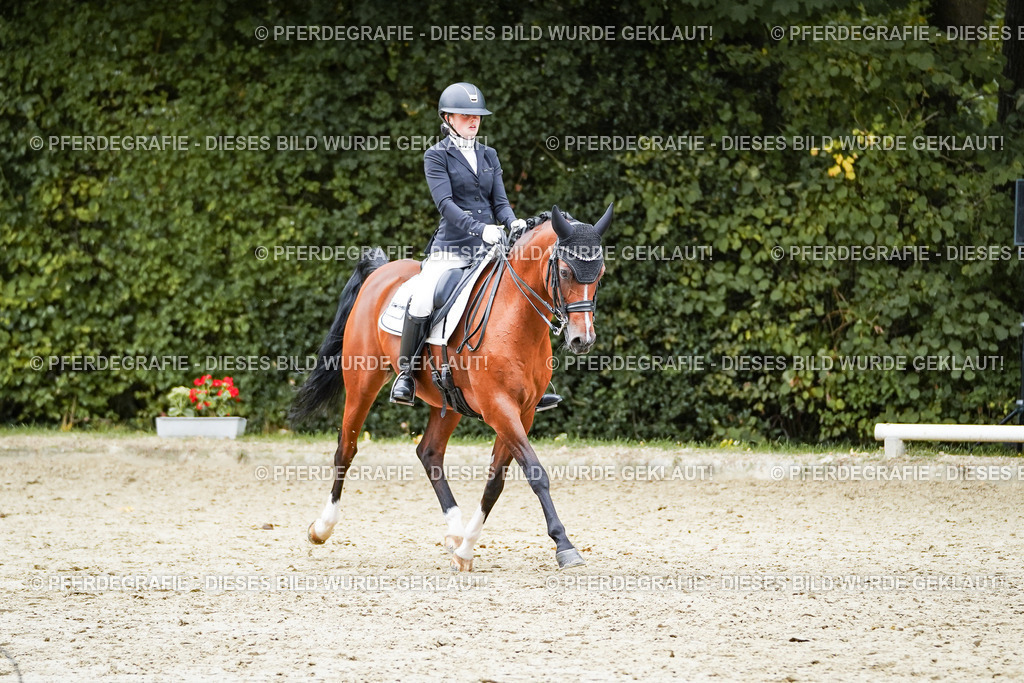 DSC01713 | Pferdegrafie