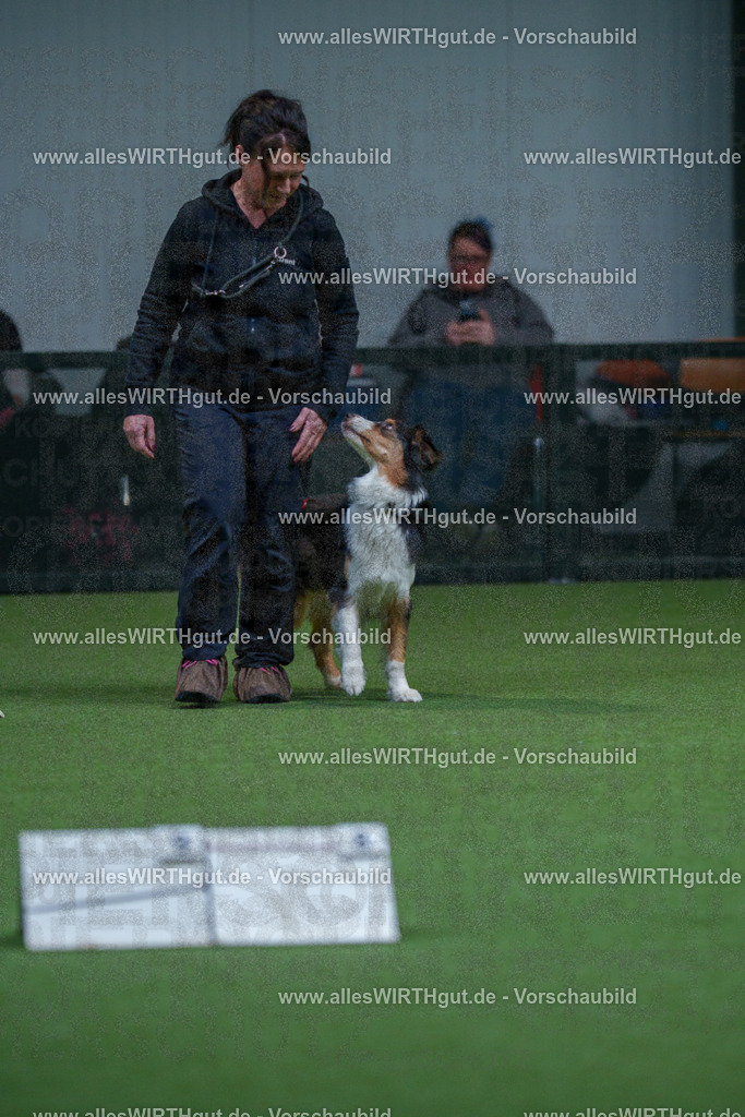 7R501972 | Professionelle Tierfotografie in Mönchengladbach von Daniel Wirth (allesWIRTHgut). Liebevolle & natürliche Bilder von Hunden & Katzen für unvergessliche Erinnerungen.