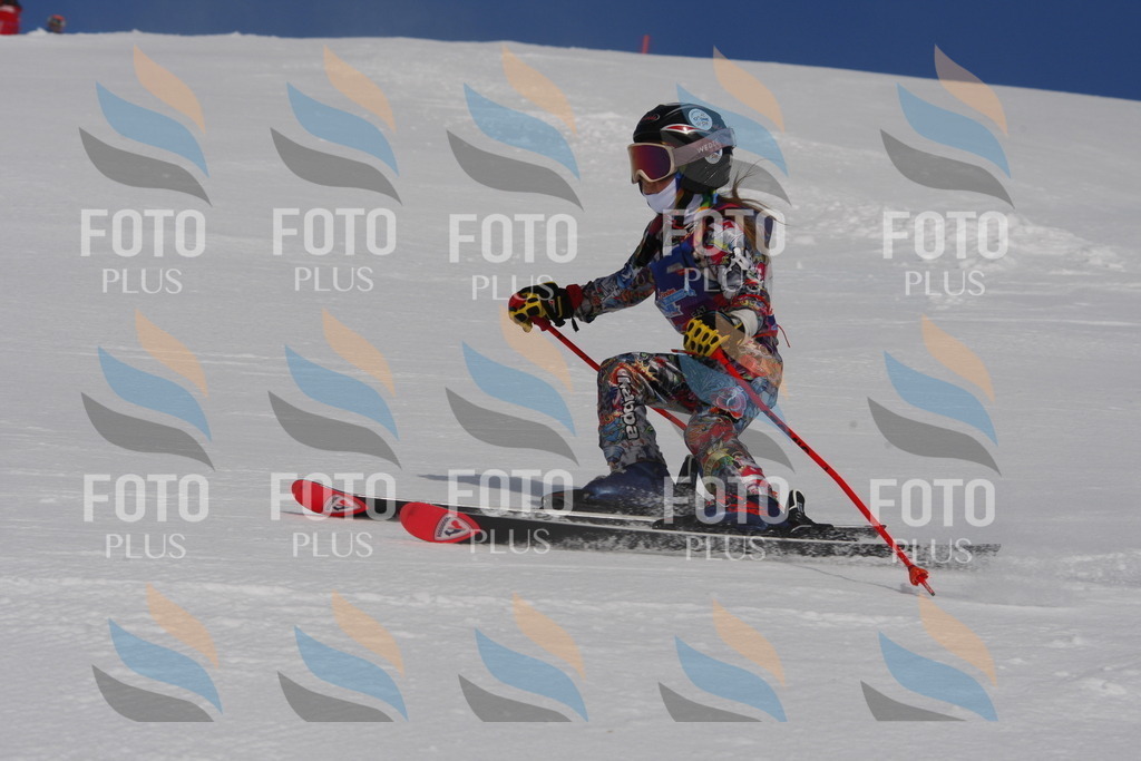 _W1G0231 | holidayphoto