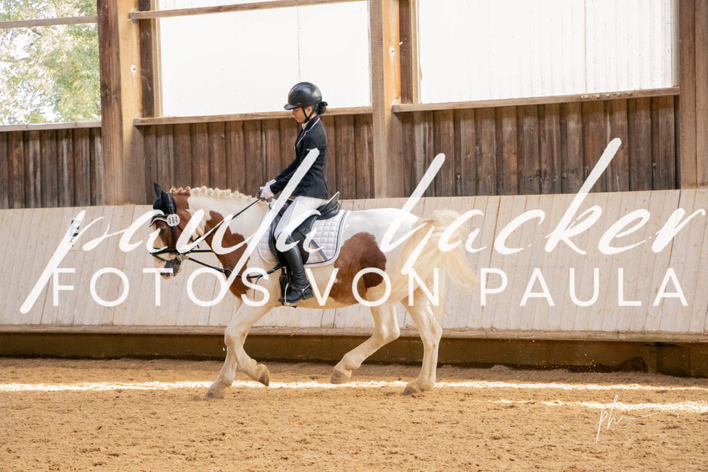 IMG_3598 | Erleben Sie dynamische Sport- und emotionale Tierfotografie in Süddeutschland mit Fotos von Paula. Spezialisiert auf Pferde- und Hundefotografie sowie Sportevents. Kontaktieren Sie mich für einzigartige und ausdrucksstarke Bilder Ihrer besonderen Momente. - Realisiert mit Pictrs.com