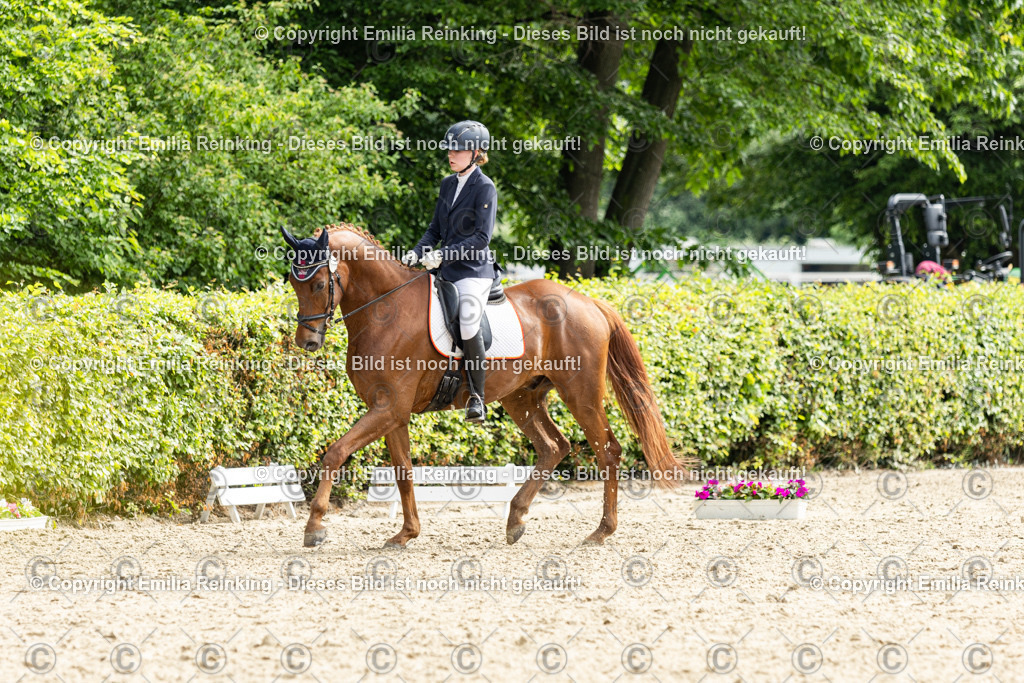 CL5A5688 | Emilia Reinking Fotografie - Realisiert mit Pictrs.com