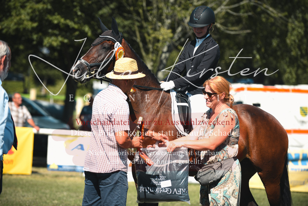 DSC_7305 | Pferde- und Turnierfotografie in Westsachsen. Pferdeportraits, Auftragszeichnungen und intuitive Kunst.