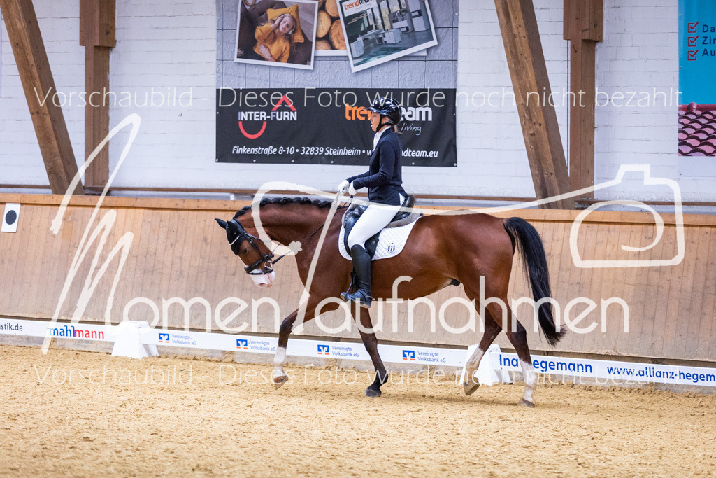 Sth-A-Dre-2St-064 | MomenTaufnahmen Pferdesportfotos