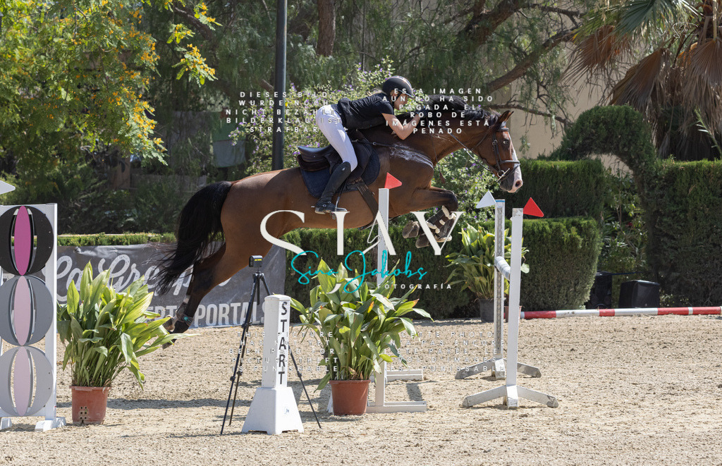 IMG_3908 | s-jay-photography - Realisiert mit Pictrs.com