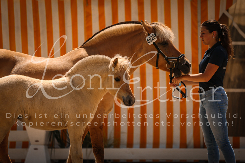 05.DoF00006 | Leoni Ertmer Photography - Realisiert mit Pictrs.com