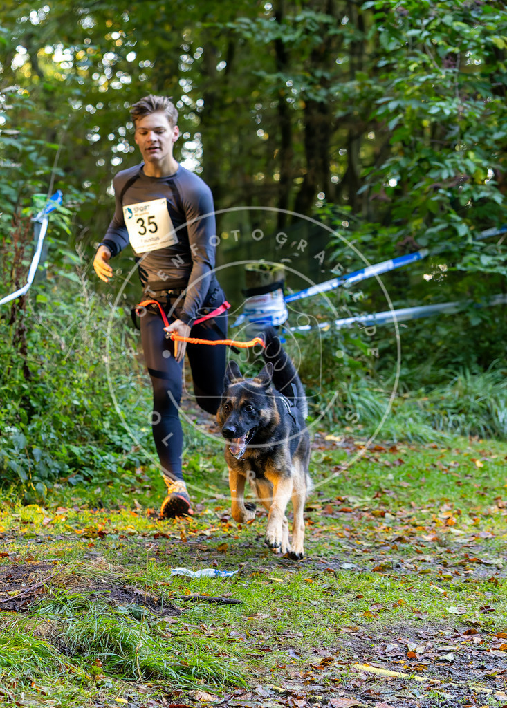 Pfotenfotografie_DV3A6720 | Hundefotografie, Tierfotograf, Pfotenfotografie, Fotoshooting Hund, Hunde Portrait, Hundesport, Hundeportraits, Heideshooting, Hunde, Sportfotograf, Hundefotograf, Turnierhundsport, THS,  - Realisiert mit Pictrs.com