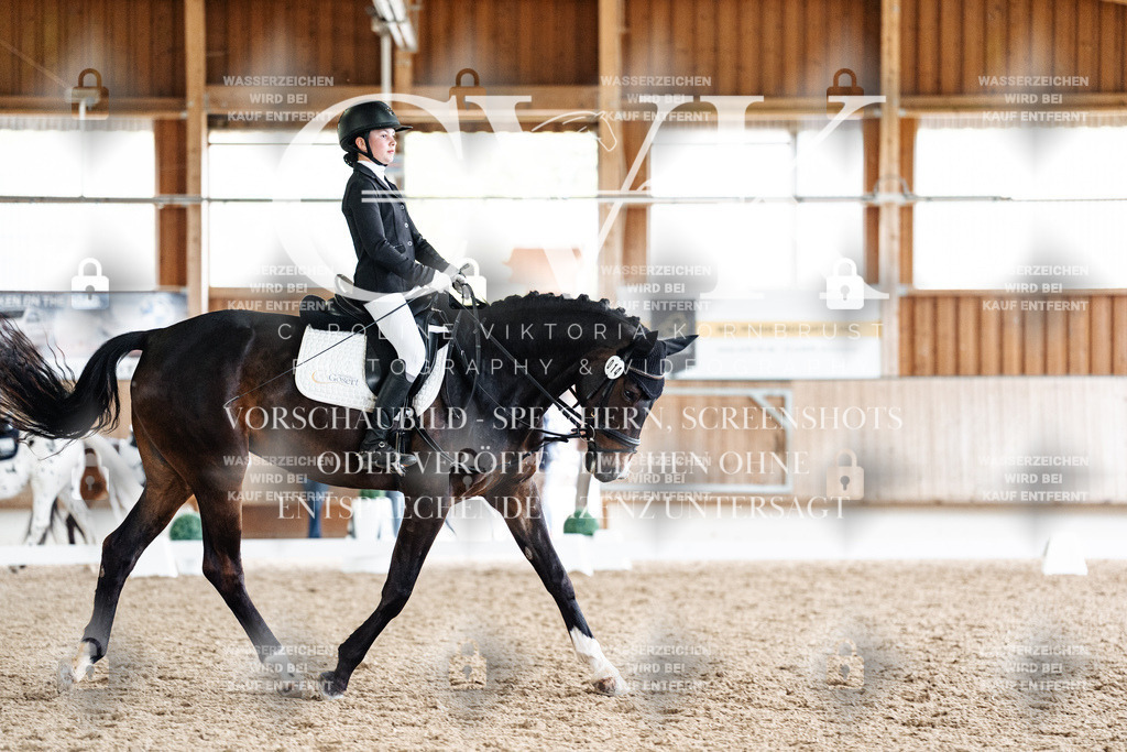 CK901318 | Turnierfotografie Pferdefotografie Trier Rheinland-Pfalz Pferdesport Reitsport Tierfotografie Sportfotografie Pferdevideo Pferdevideografie Equestrianvideography equestrianphotography  - Realisiert mit Pictrs.com