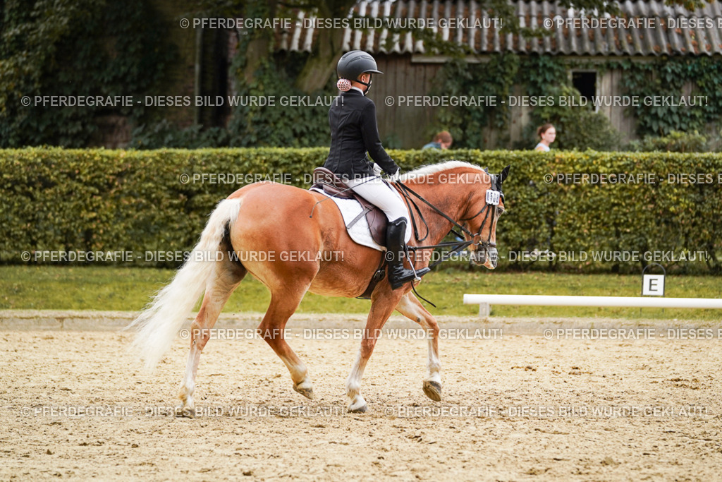 DSC00487 | Pferdegrafie