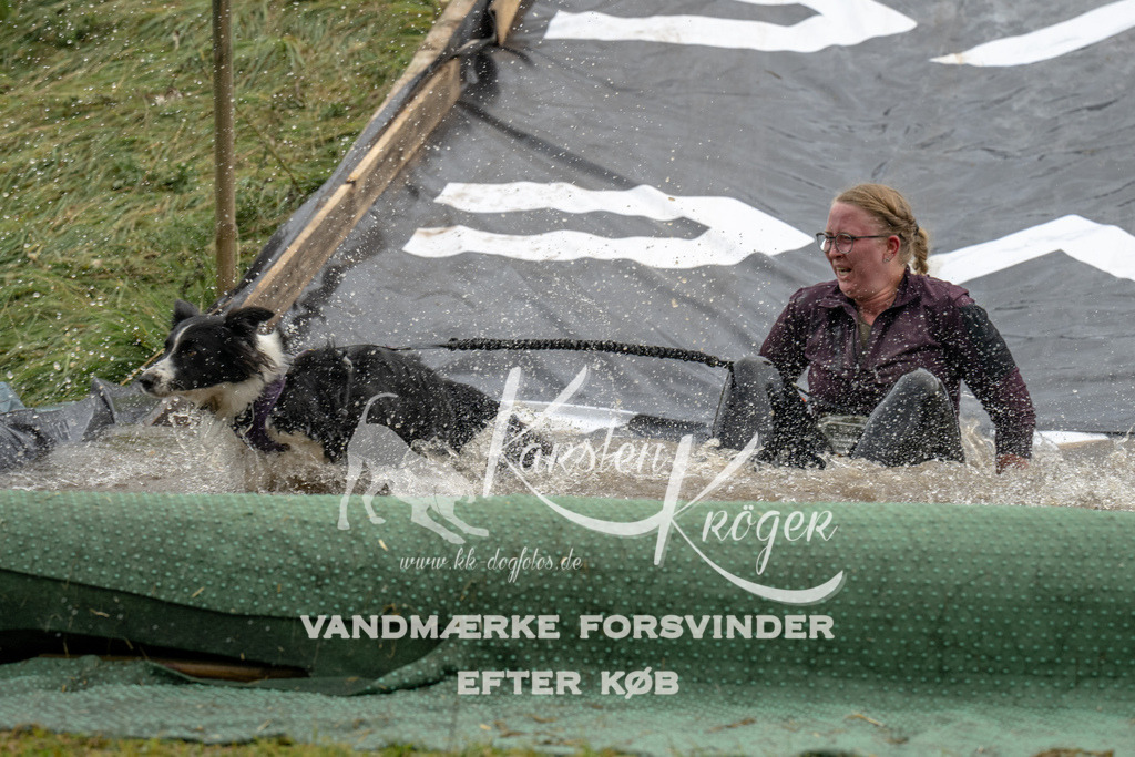1545_ZZ90463 | kk-dogfotos