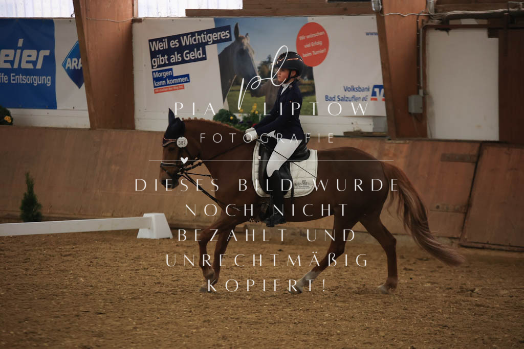 IMGT0576 | pl-fotografie