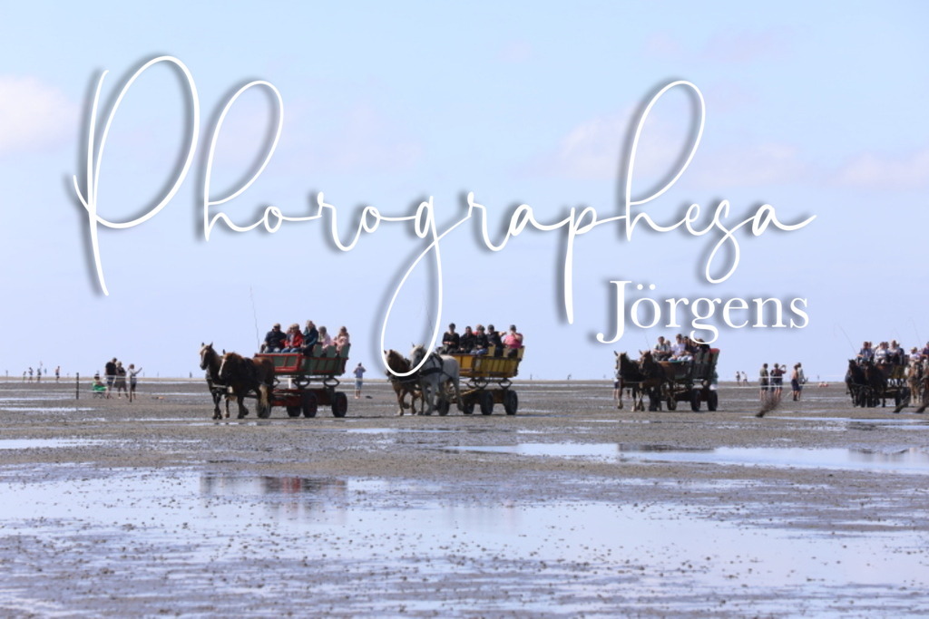 IMG_9537 | photographesa-joergens - Realisiert mit Pictrs.com