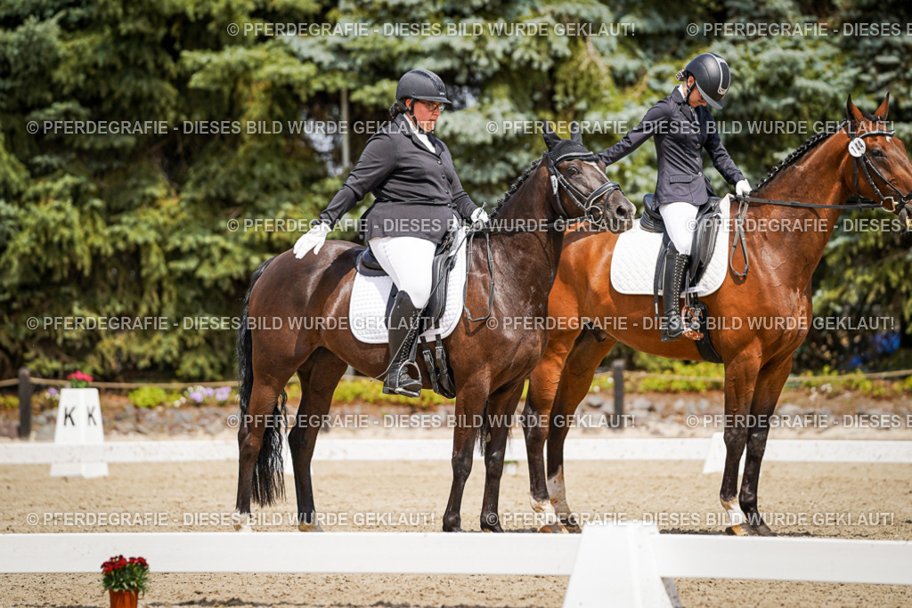 DSC02604 | Pferdegrafie