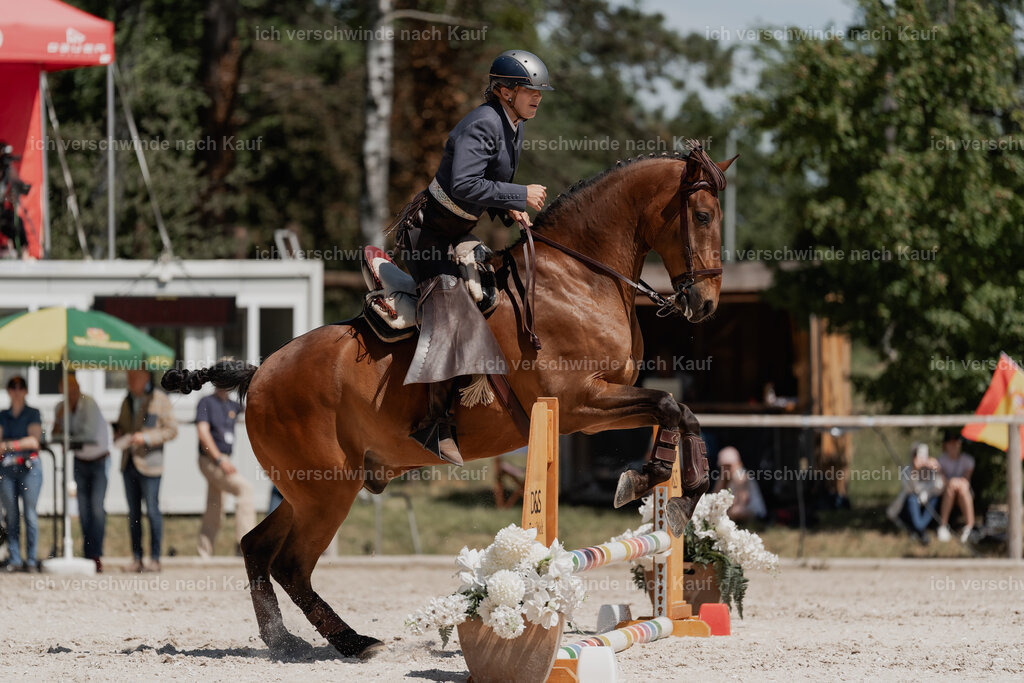 WE_SP_Stoib_313_PI2025_1763 | Pferd International München 2025