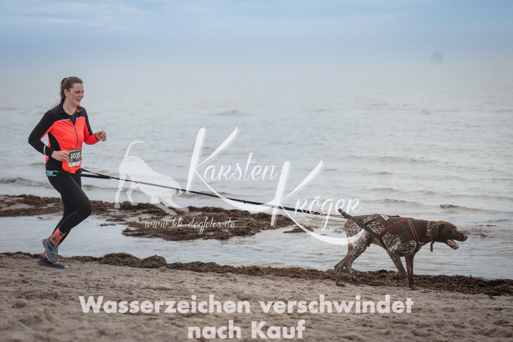 1148_ZZ91408 | kk-dogfotos
