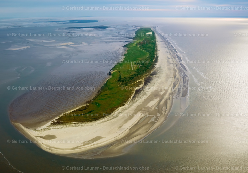 3091132 | Juist Nationalpark Niedersächsisches Wattenmeer