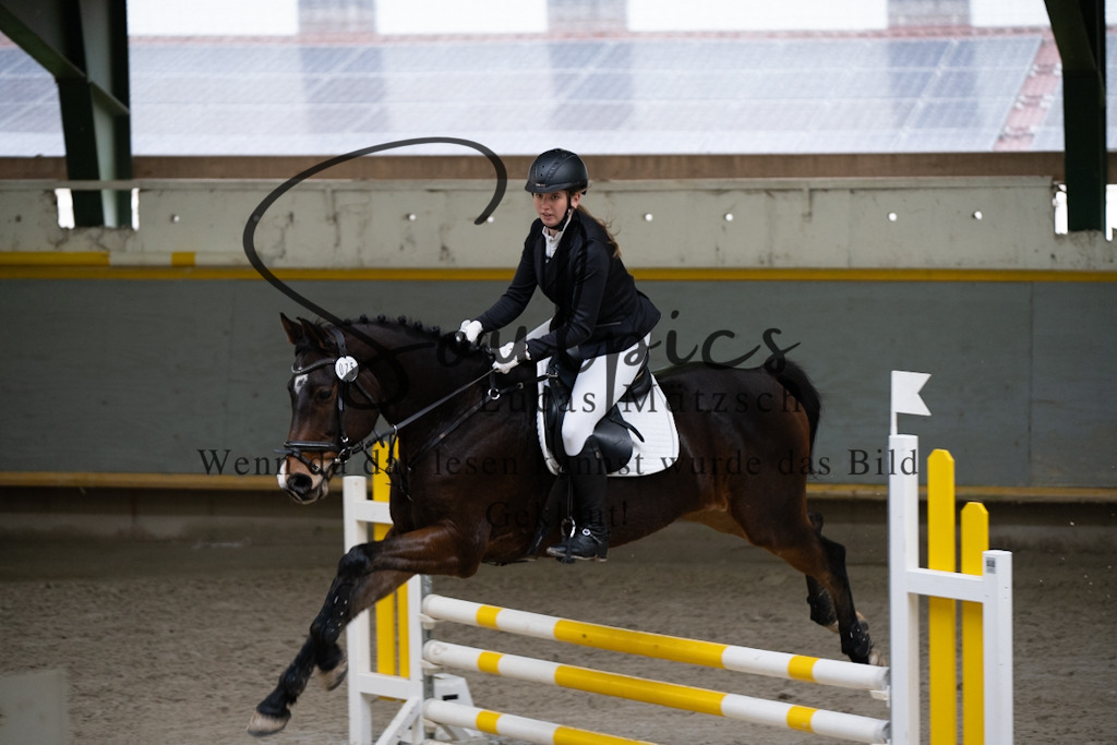 A7V01069 | Pferdefotograf