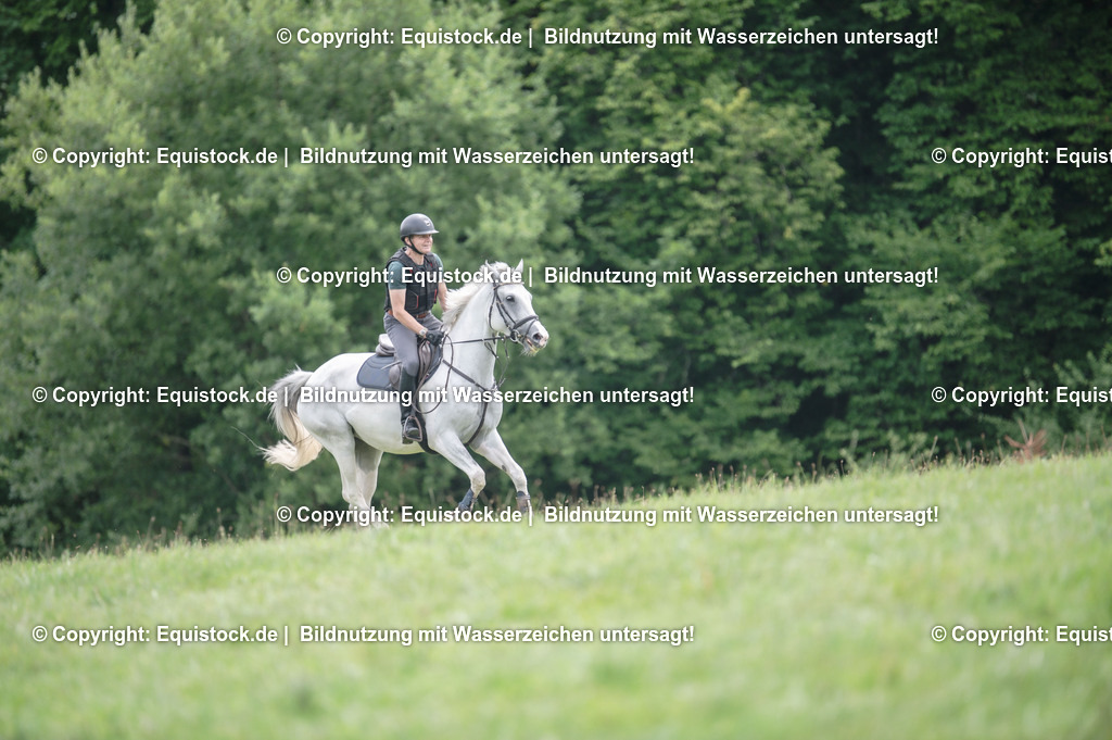 20250726_Vielseitigkeitslehrgang-Marbach_0599 | Foto: Thomas Hartig