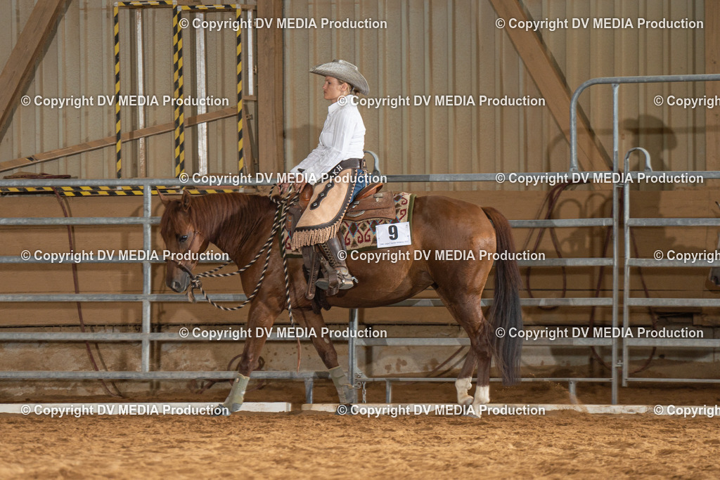 NID01498 | dv-media-shop - Realisiert mit Pictrs.com