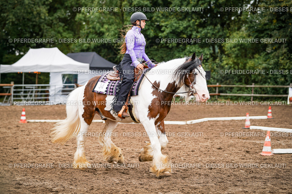 DSC03442 | Pferdegrafie