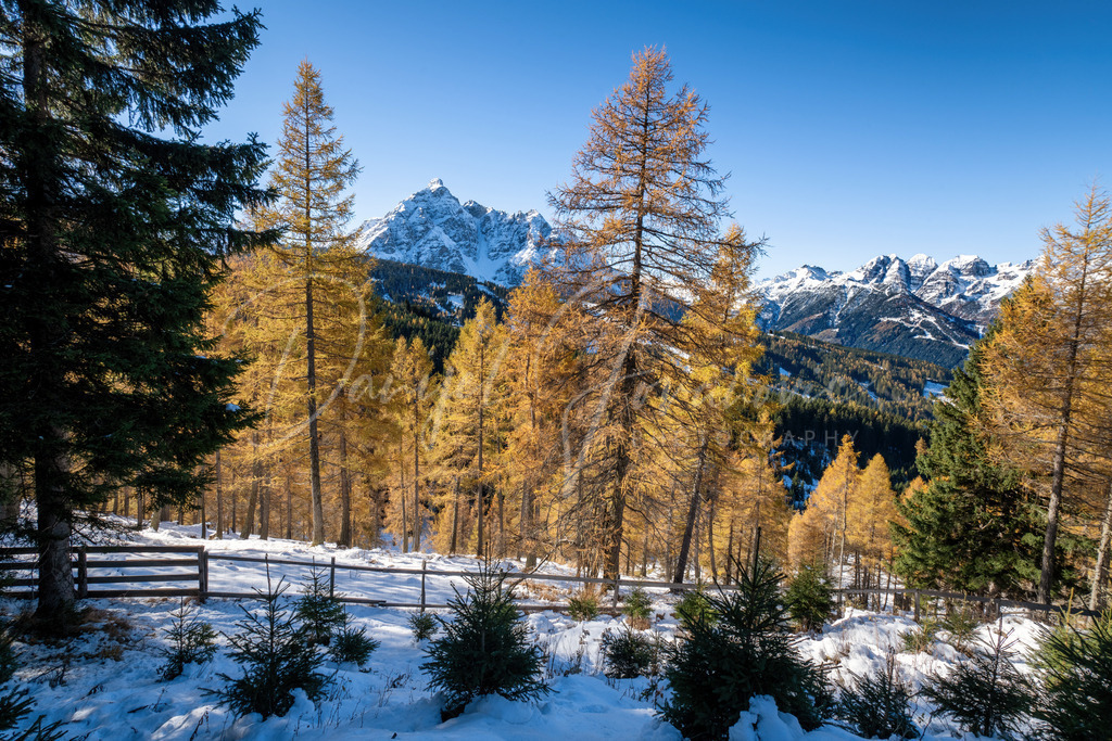 Eulenwiesen | Blick zur Serles