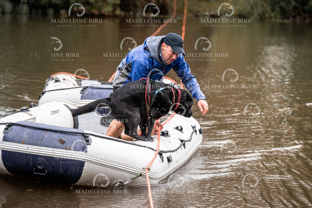 madeleinebirr-fotografie2025.campcanis.11-12Uhr-65 | hundefotografie-birr