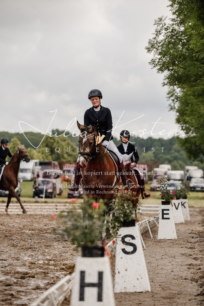 DSC_9387 | Pferde- und Turnierfotografie in Westsachsen. Pferdeportraits, Auftragszeichnungen und intuitive Kunst.