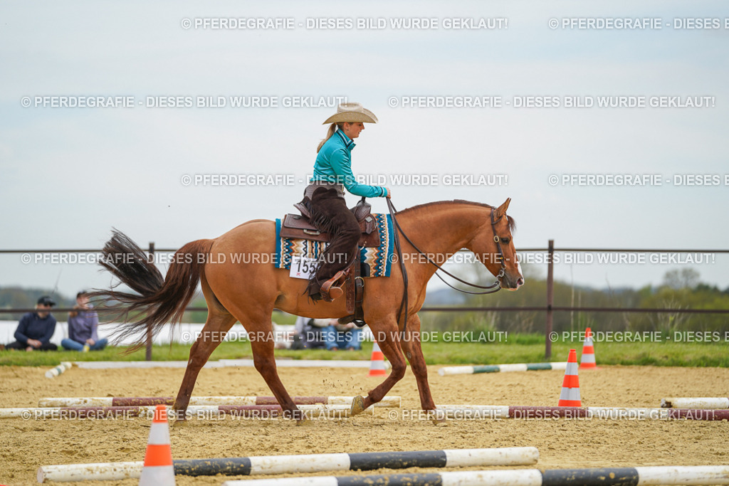 DSC03070 | Pferdegrafie