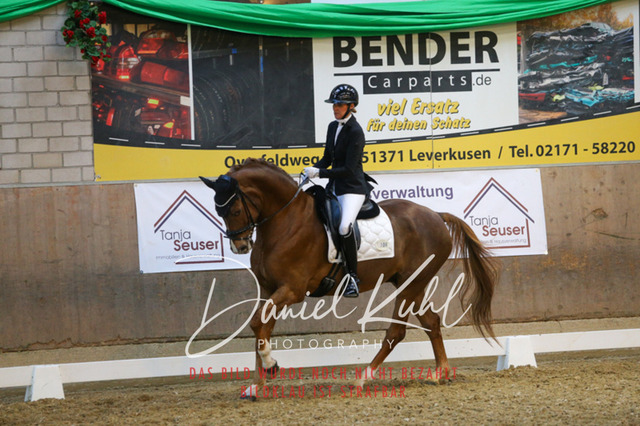 IMG_2944 | Turnierfotos kaufen im Webshop von Daniel Kuhl Photography – entdecke professionelle Reitsportfotos aus Turnieren & Events. Hochwertige Turnierbilder online bestellen & sichern. Jetzt Fotos von Reitsportturnieren kaufen!