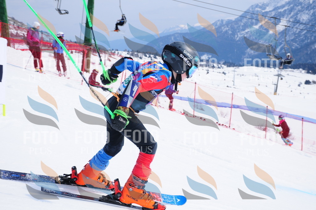 DSC_2452 | holidayphoto