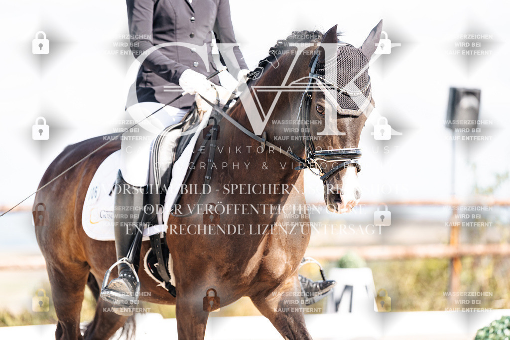 CK902112 | Turnierfotografie Pferdefotografie Trier Rheinland-Pfalz Pferdesport Reitsport Tierfotografie Sportfotografie Pferdevideo Pferdevideografie Equestrianvideography equestrianphotography  - Realisiert mit Pictrs.com