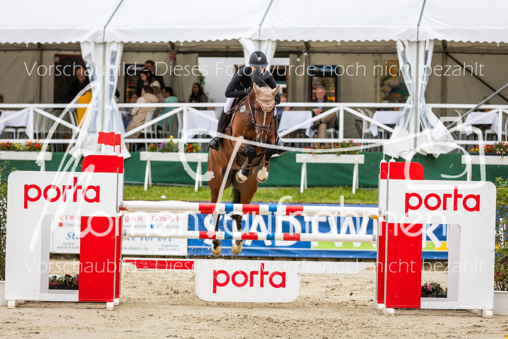 BHO-2PhSpr-M-5-2294 | MomenTaufnahmen Pferdesportfotos