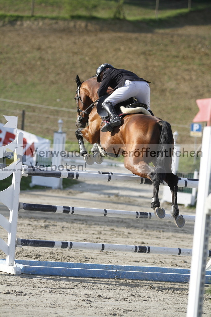 _MG_1609 | equestrian-live-com