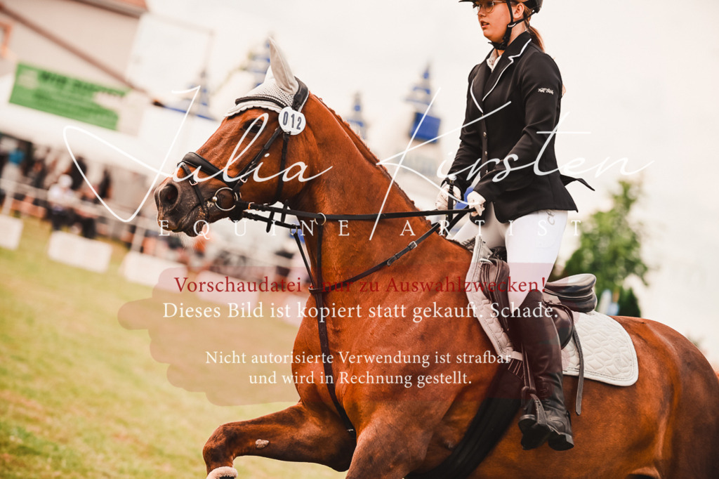 DSC_6856 | Pferde- und Turnierfotografie in Westsachsen. Pferdeportraits, Auftragszeichnungen und intuitive Kunst.